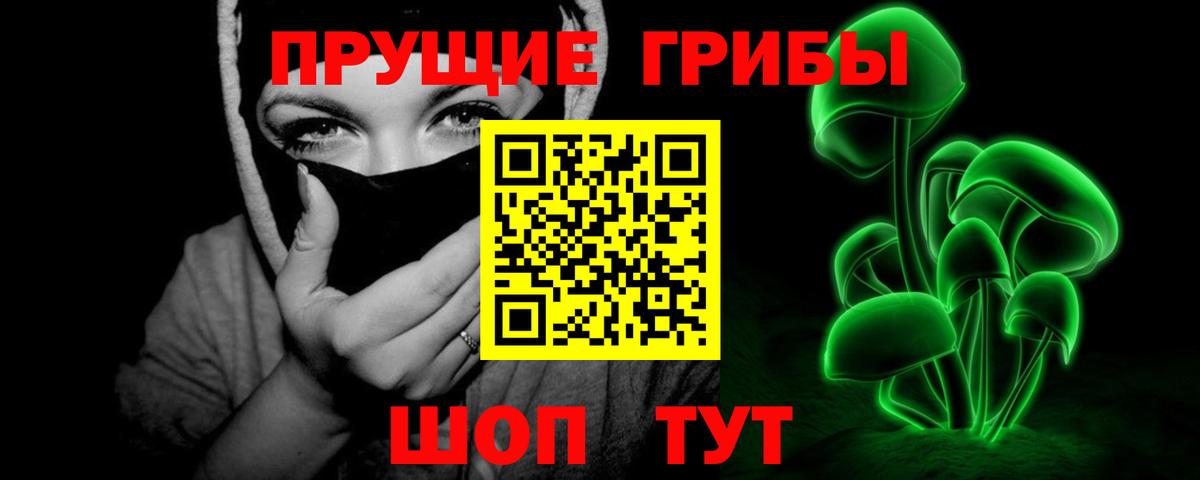 Псилоцибиновые грибы ЛСД  Псилоцибиновые грибы прущие грибы  Вход с VPN  Отрадный 
