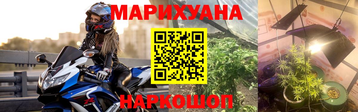 Марихуана гибрид Отрадный